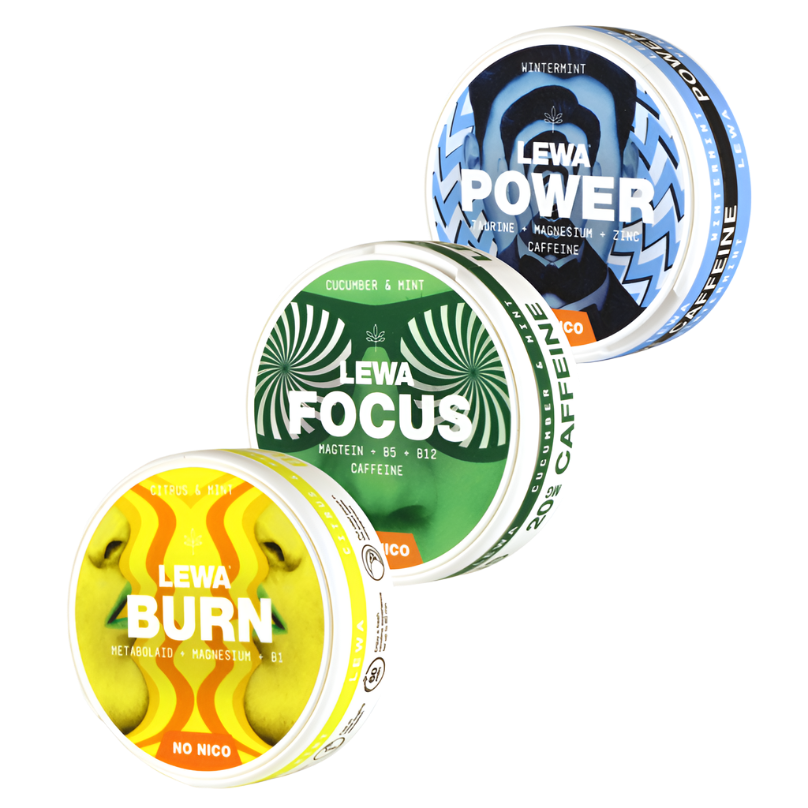LEWA of SWEDEN ENERGY PADS (3 PACKS / 60 PADS)